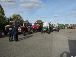ws 331